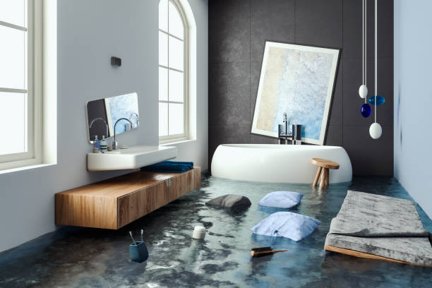 Best Ceiling water damage repair  in Jenison, MI