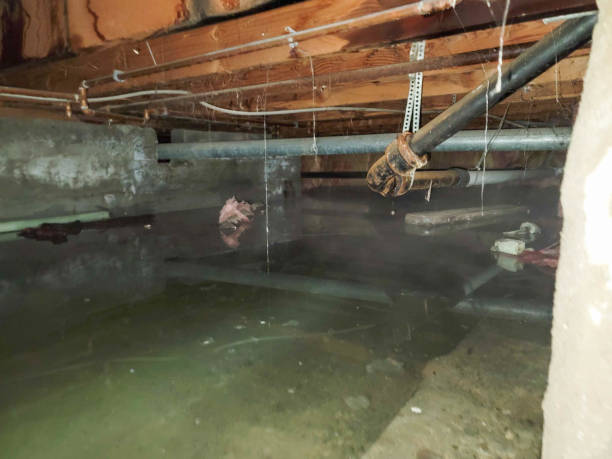 Best 24/7 water damage repair  in Jenison, MI