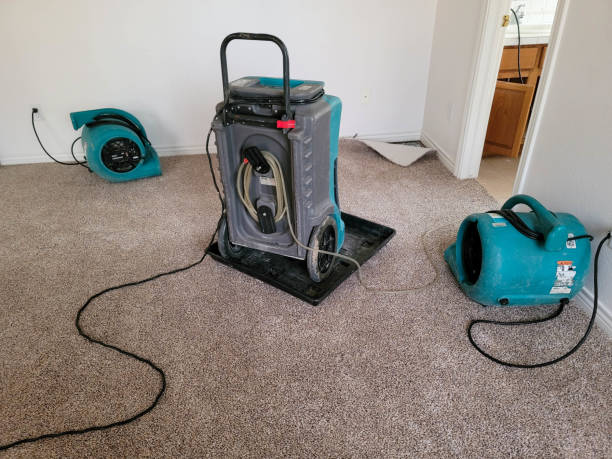 Best Carpet water damage restoration  in Jenison, MI