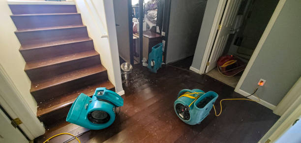 Best Water damage restoration near me  in Jenison, MI
