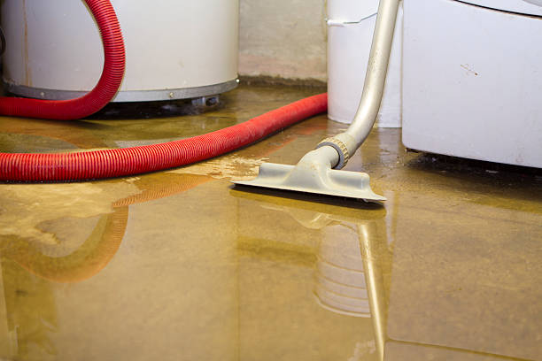 Best 24-hour water damage restoration  in Jenison, MI