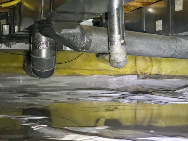 Best Professional water damage repair  in Jenison, MI
