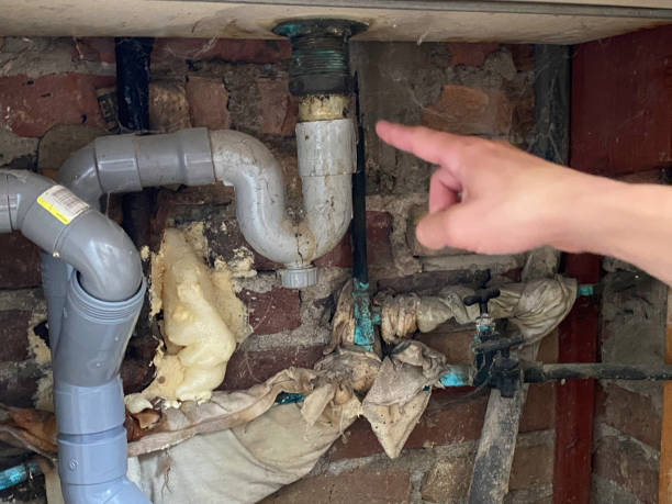 Best Water damage restoration specialists  in Jenison, MI